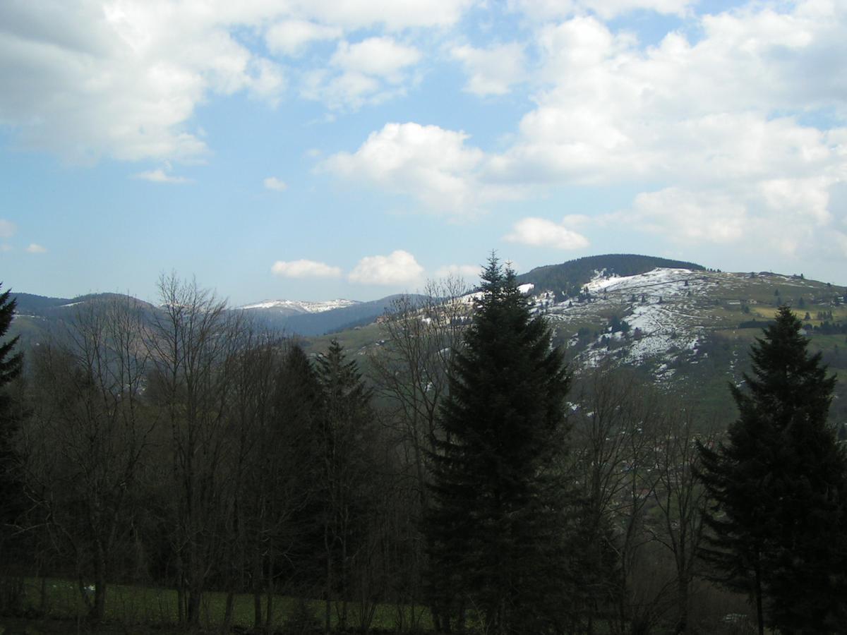Chalet Les Bouleaux, La Montagne Des Lamas La Bresse Luaran gambar